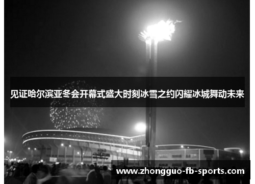 见证哈尔滨亚冬会开幕式盛大时刻冰雪之约闪耀冰城舞动未来