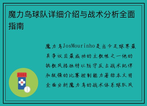 魔力鸟球队详细介绍与战术分析全面指南